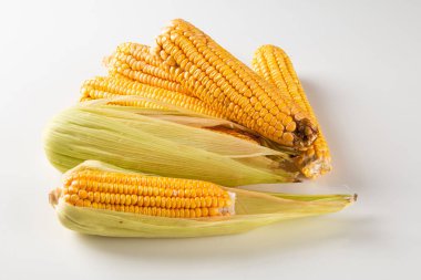 Beyaz arka planda izole edilmiş taze mısır.