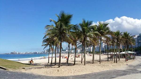 巴西里约热内卢著名的Leme和Copacabana海滩 有椰子树 — 图库照片