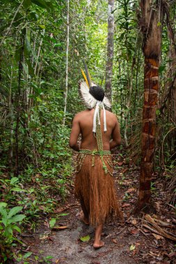 Brezilya Tupinamba yerlisi tipik kıyafetleriyle tropikal ormanda yürüyor..