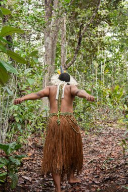Brezilya Tupinamba yerlisi tipik kıyafetleriyle tropikal ormanda yürüyor..