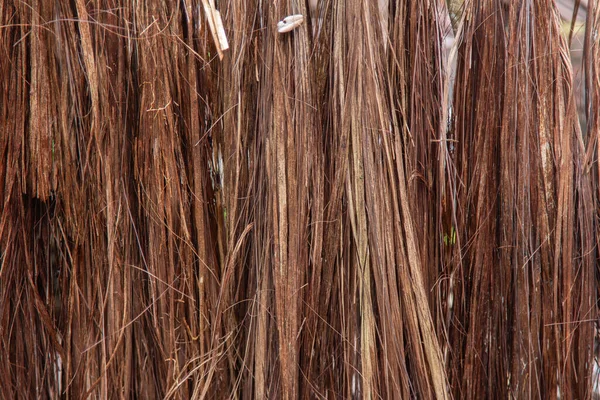 Doğal Piassava Pipetinin Dokusu — Stok fotoğraf