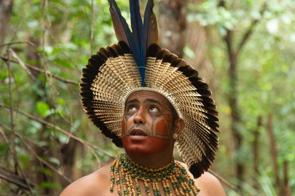 Βραζιλιάνος Tupinamba Ινδός Τυπικά Ρούχα Περπάτημα Στο Τροπικό Δάσος — Φωτογραφία Αρχείου