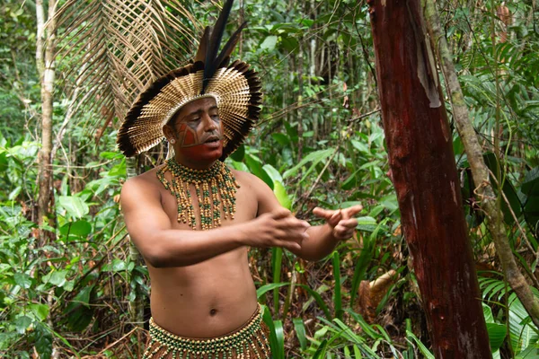 Бразильський Тупінамба Індійський Типовим Одягом Йде Тропічному Лісі — стокове фото