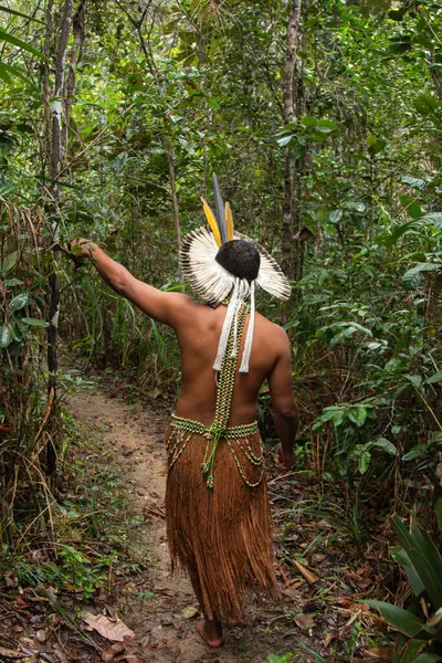 Brasileiro Tupinamba Indiano Com Roupas Típicas Caminhando Floresta Tropical — Fotografia de Stock