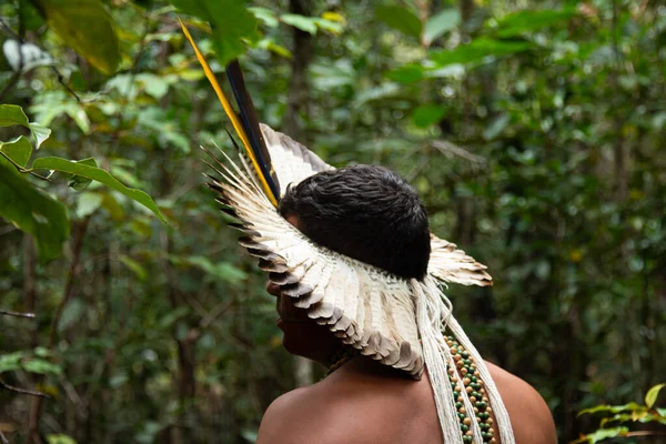 Brasiliansk Tupinamba Indiska Med Typiska Kläder Promenader Den Tropiska Skogen — Stockfoto