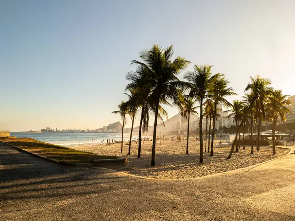 Solnedgång Utsikt Över Stranden Leme Med Kokosnötsträd Rio Janeiro Brasilien — Stockfoto