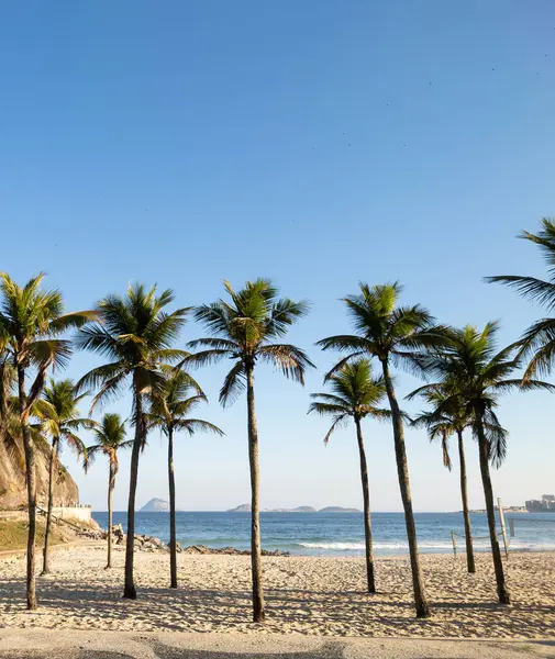 Вид Закат Леме Пляж Копакабана Кокосовыми Деревьями Рио Жанейро Бразилия — стоковое фото