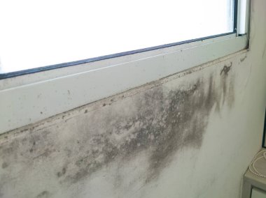 Beyaz pencere duvarında küf mantarı var. Dampness sorunu