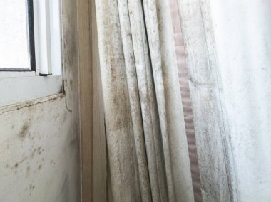 Beyaz perde küf ve mantarlarla kirlenmiş. Nem problemi.
