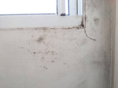 Beyaz pencere duvarında küf mantarı var. Dampness sorunu