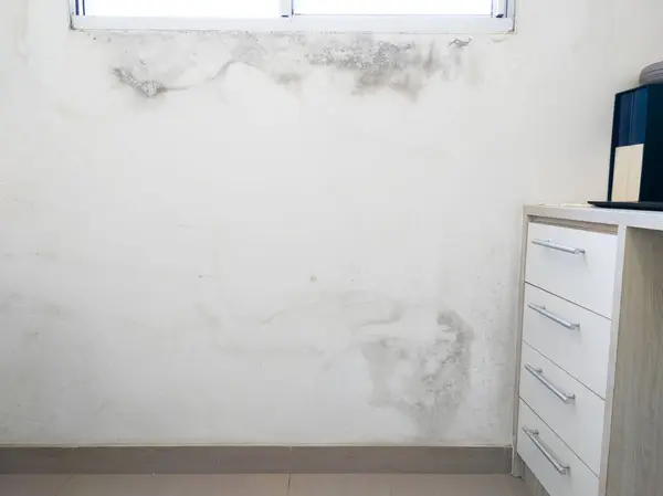 White bedroom wall with mold and fungus problem. Moisture problem.
