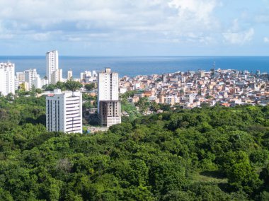 Binalar, kenar mahalleler ve yeşil bitki örtüsüyle sosyal karşıtlık.