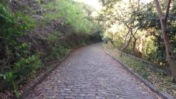 Scalare Sentiero Ciottoli Con Vegetazione Forte Leme Rio Janeiro Brasile — Video Stock