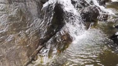 Ilheus Bahia Brezilya 'daki Lagoa Encantada' da Şelale yavaş hareket ediyor.