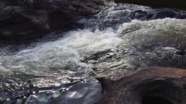 Ilheus Bahia Brezilya 'daki Lagoa Encantada' da tropik şelale