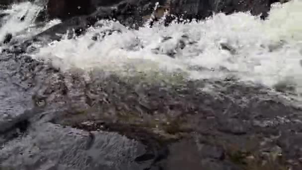 Tropischer Wasserfall Der Lagoa Encantada Der Stadt Ilheus Bahia Brasilien — Stockvideo