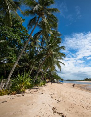 Boipeba Bahia Adası. Palmiye ağaçları, mavi gökyüzü ve bir cennette okyanus olan tropik bir sahil..