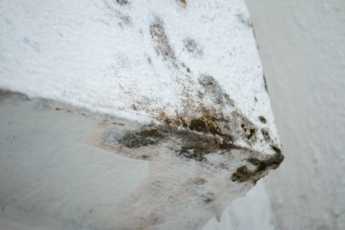 Beyaz bir duvar köşesindeki küf..