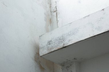 Küflü ve lekeli beton duvar köşesi.