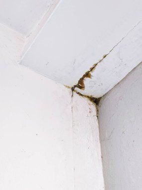 Tavan köşesinde su hasarı ve çatlaklar var..