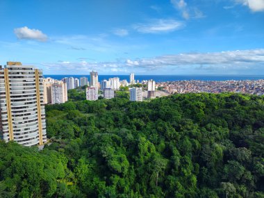 Sosyal zıtlık. Favela ve Salvador Bahia 'daki binalar.
