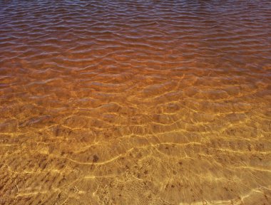 Temiz sığ sularda altın dalgalar.