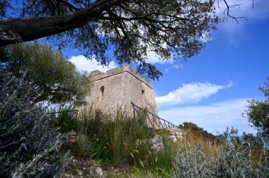 Torre dell 'Aglio, Vieste yakınlarındaki gözetleme kulesi, Gargano, İtalya