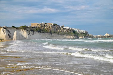 View of the town of Vieste in the Gargano with Pizzomunno, the white limestone rock and the bay in the foreground clipart