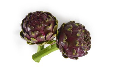 Tamamen beyaz bir arkaplana karşı iki tane taze enginar.