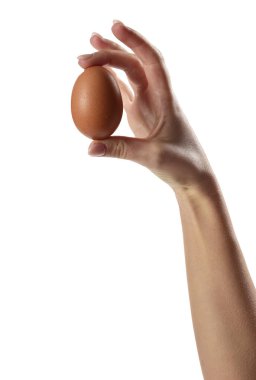 Beyaz arka planı olan bir kızın elinin arasında yumurtalar.