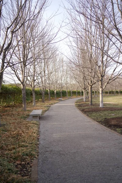 Photography outside a local art museum. 