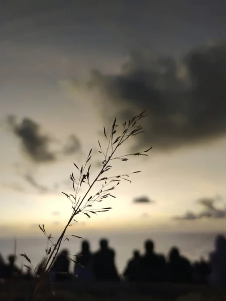 enjoy the sunrise on the beach