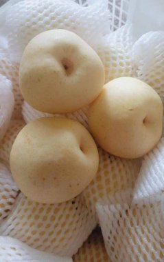 pear fruit that is still fresh for consumption