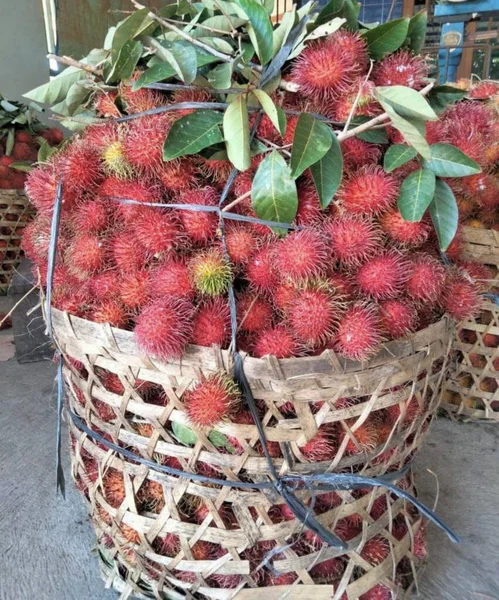 Endonezya 'da bu meyveye rambutan denir.