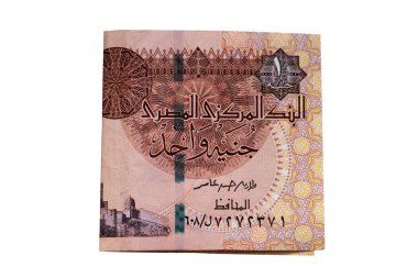 Egyptian one pound banknote, isolated on a white background