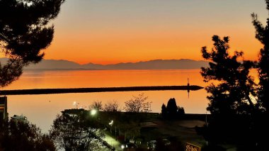 A marina at dusk through the trees