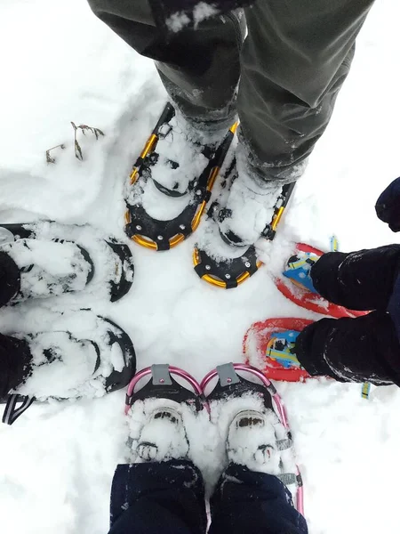 1850 New England Adliyesi