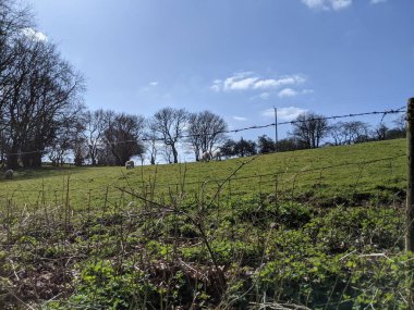 Yuvarlanan tepelerin, yemyeşil çimlerin ve ağaçların resimlerle dolu bulutlarla aydınlatılmış huzurlu bir manzarası..