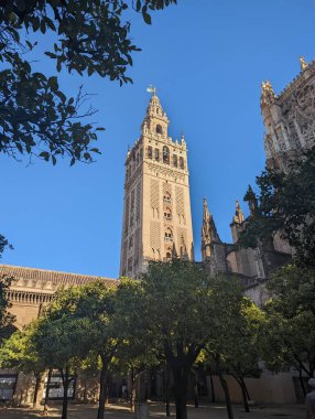 İspanya, Seville 'de gökyüzü manzaralı tarihi katedral kulesi.