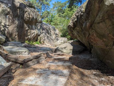 Doğadaki Manzaralı Kaya oluşumu - Fontainebleau, Fransa