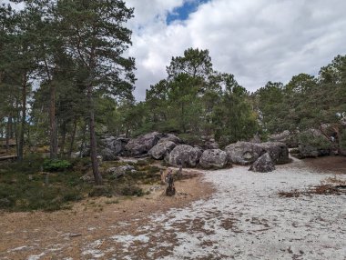 Fransa 'nın Fontainebleau şehrinde L' Elephant tırmanma sahasında kayalar ve kayalarla güneşli vahşi doğa manzarası.