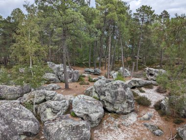 Fontainebleau Ormanında Yaz Yürüyüşü: Doğanın Güzelliğini Keşfetmek ve L 'file tırmanmak