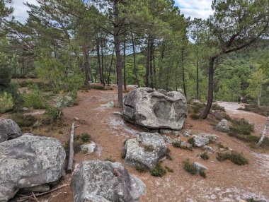 Fransa Fontainebleau 'da, L' fil Kayası 'nın yakınında yürüyüş yolu.