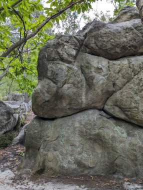 Fontainebleau, Fransa 'da Sahne Yürüyüşü ve Kaya Tırmanışı