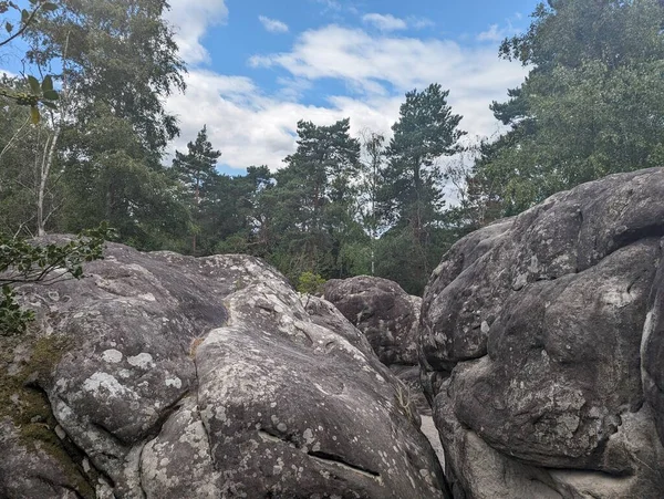 Paisagem Serena Escalada Pedra Entre Beleza Natureza Fontainebleau — Fotografia de Stock