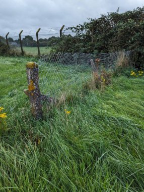 Meadow View: Galler 'de Lichen Kaplamalı Beton Çit ve Alan Çözümleme