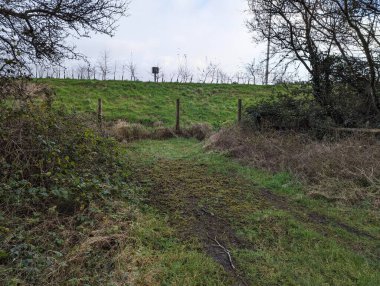 Ağaçların ve çitlerin bulunduğu çimenli bir araziyi gösteren bir fotoğraf, doğal manzarayı yansıtıyor..