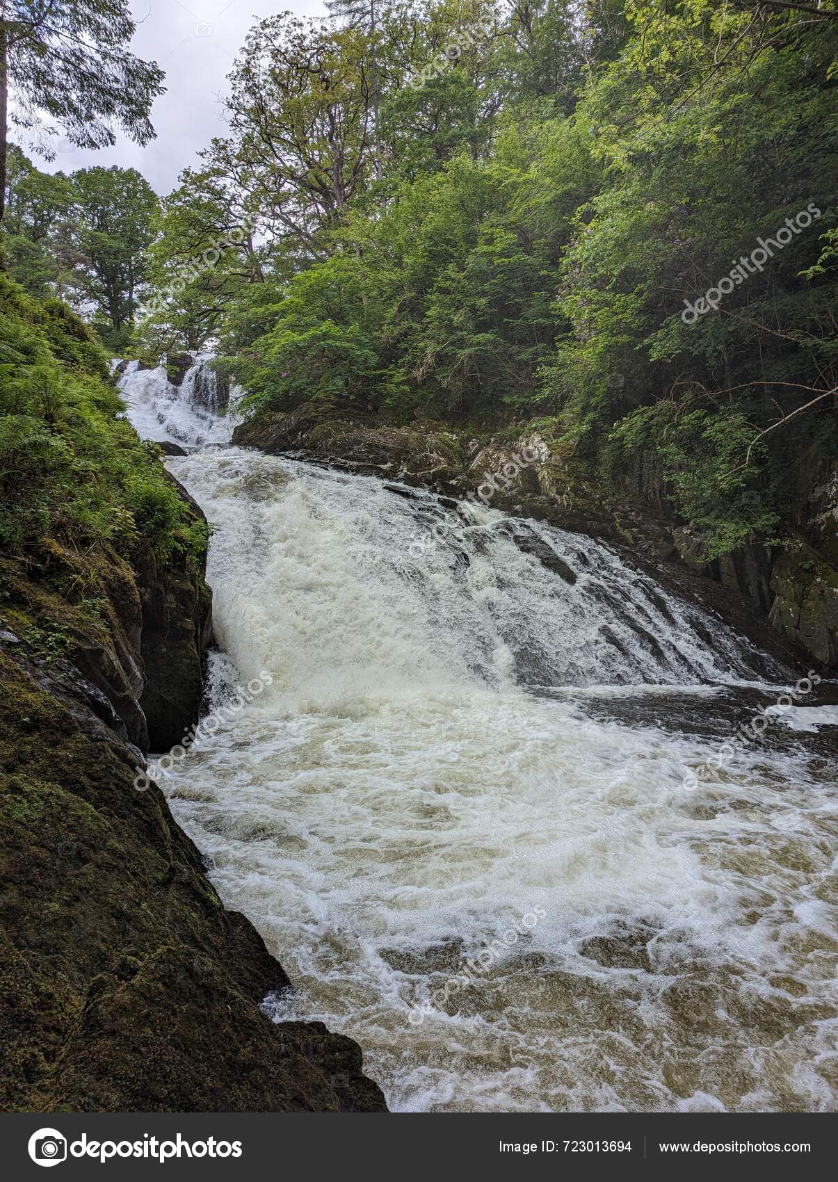 Stunning Waterfall Cascading Rocky Terrain Enveloped Dense Green Forest  Serene — Stock Photo © PhotosByWales #723013694, image size:1205x1700