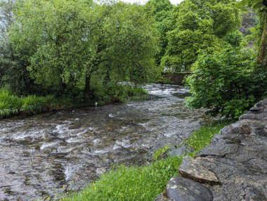 Bereketli yeşil bir ormanın içinden akan huzurlu bir nehir. Suyun, yeşilliğin ve kayaların aktığı sakin doğal manzara.