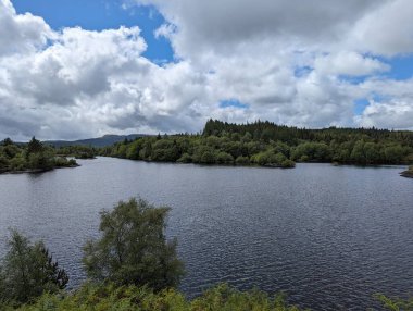 Yoğun ormanlarla çevrili huzurlu göl manzarası bulutlu bir gökyüzünün altında huzur ve doğal güzellikleri aktarıyor..